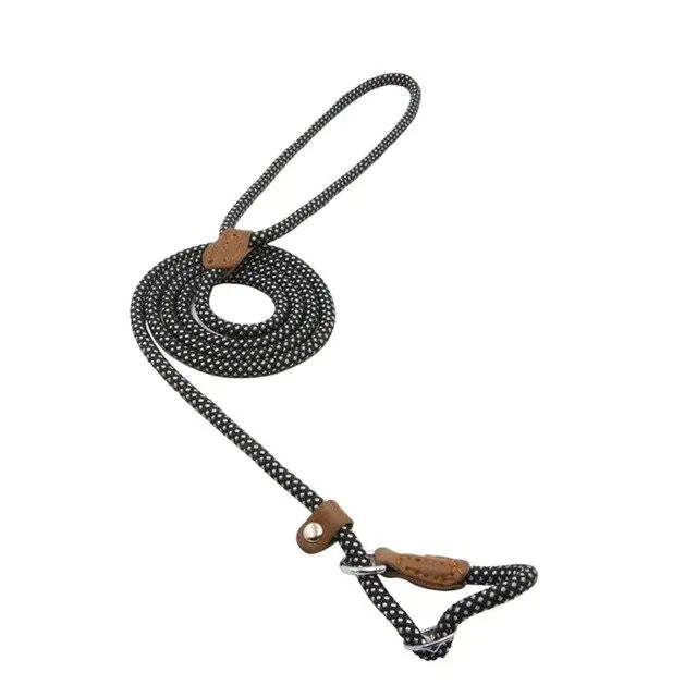 Nylon Pup leash
