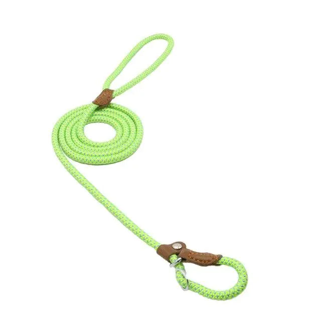 Nylon Pup leash