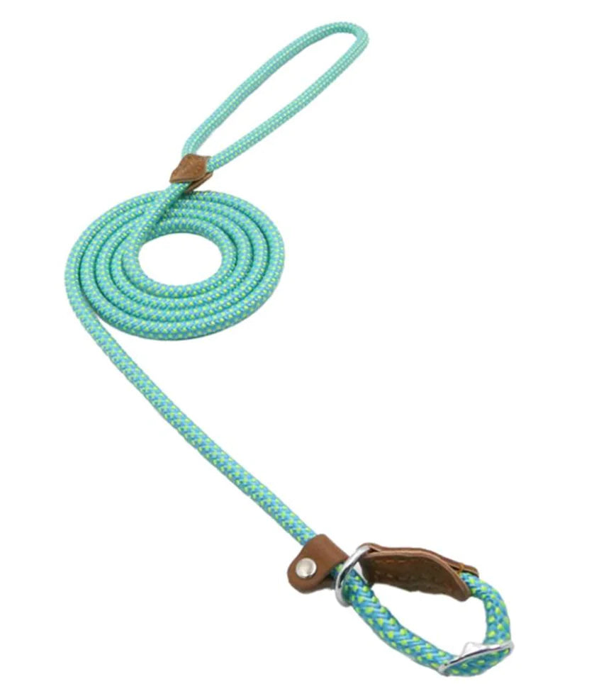 Nylon Pup leash