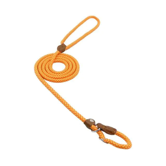 Nylon Pup leash