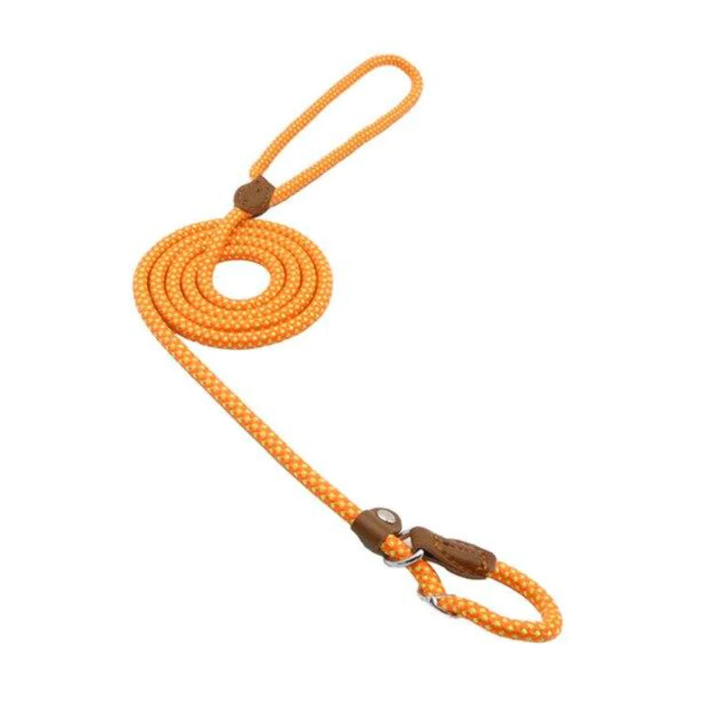 Nylon Pup leash