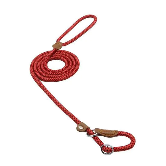Nylon Pup leash