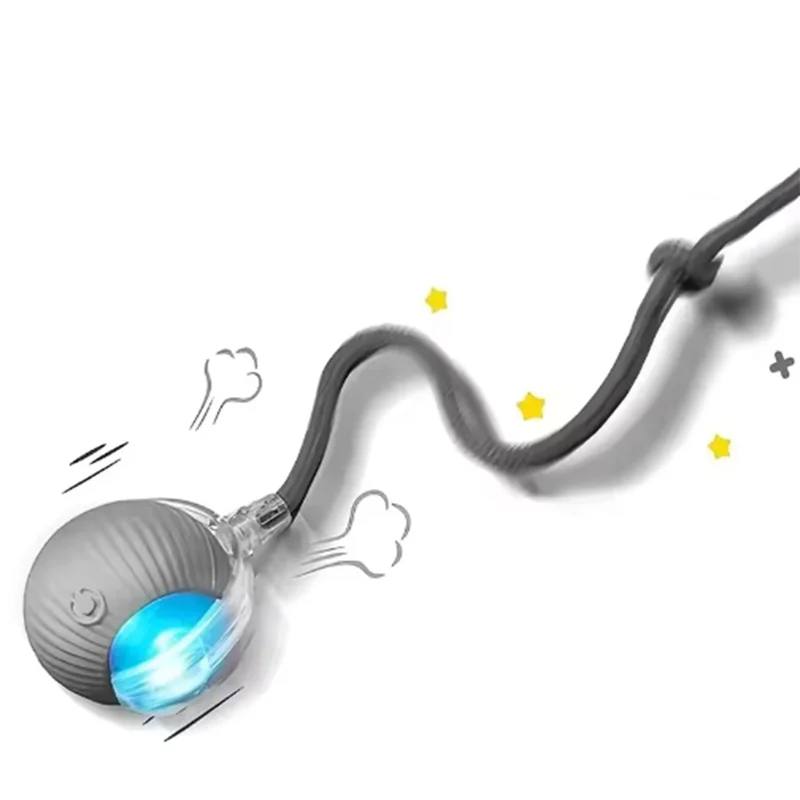 Interactive Cat Ball