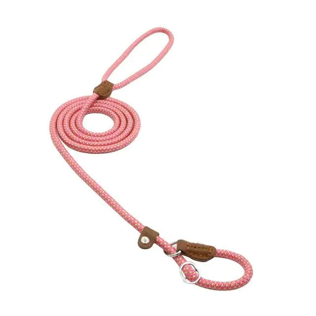Nylon Pup leash