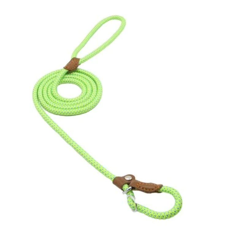 Nylon Pup leash