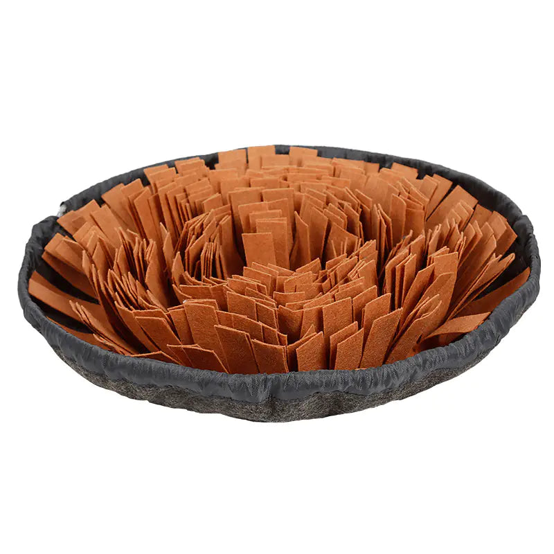 2-in-1 Dog Sniffing Mat