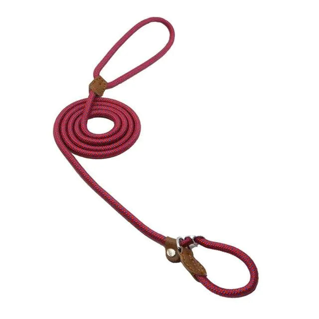 Nylon Pup leash