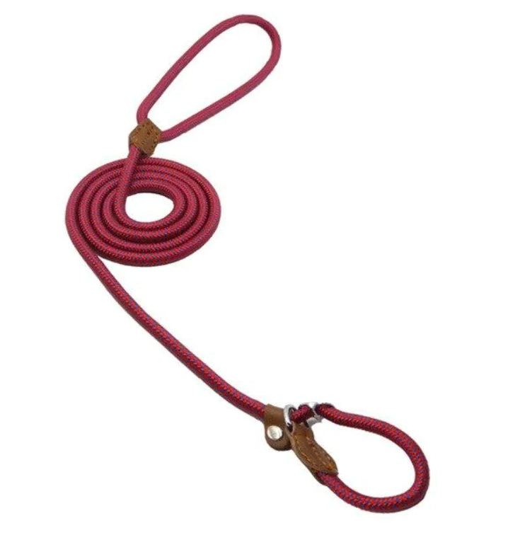 Nylon Pup leash