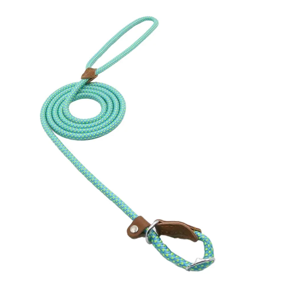 Nylon Pup leash