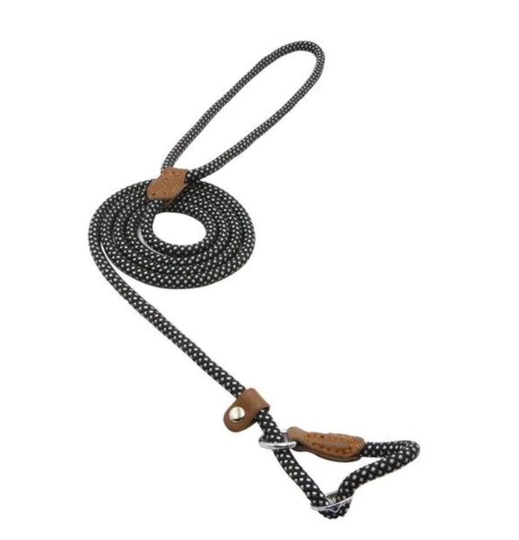 Nylon Pup leash